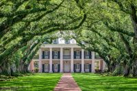 Oak Alley Plantation